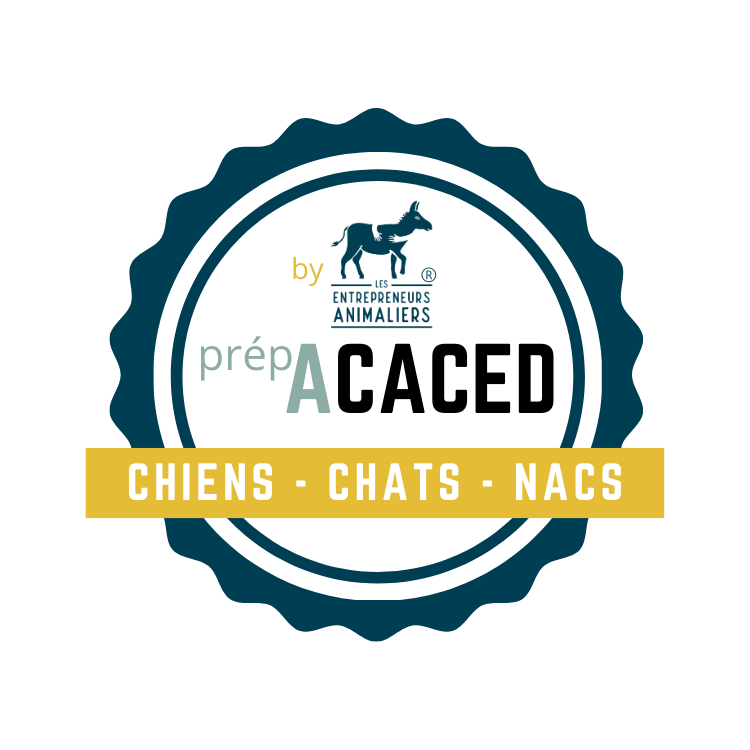 Pet sitter certifié ACACED avec un animal à Orléans