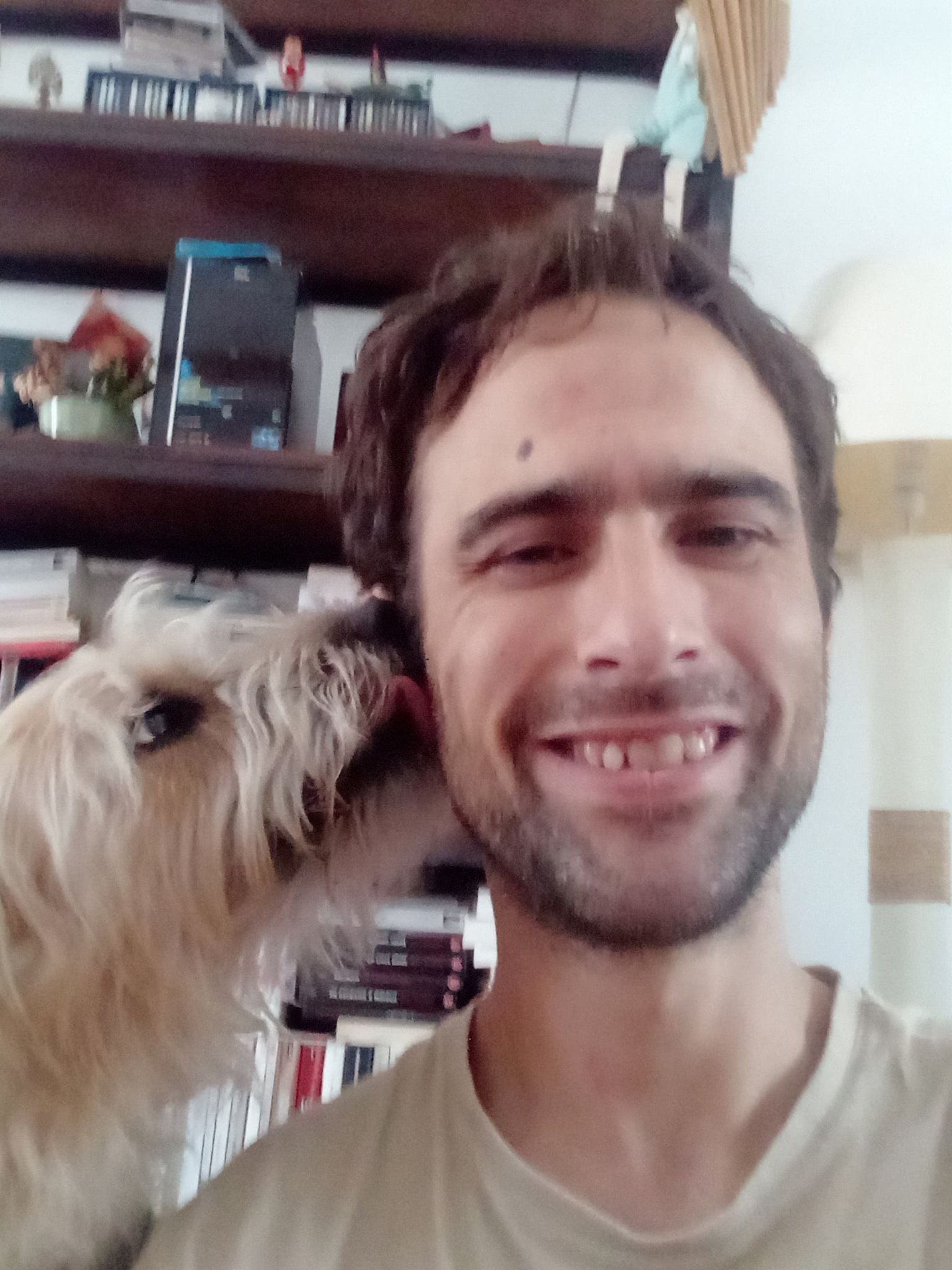 Pension pour chat sécurisée à Orléans - HappyPets Orléans